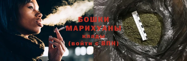 бошки Новодвинск