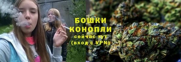 бошки Новодвинск
