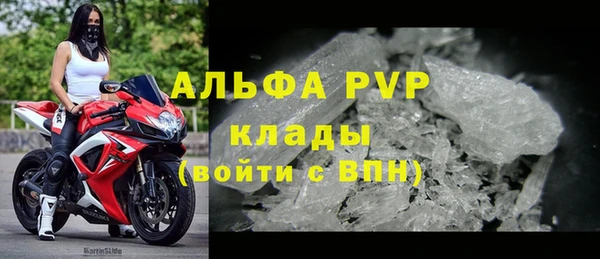 стафф Весьегонск