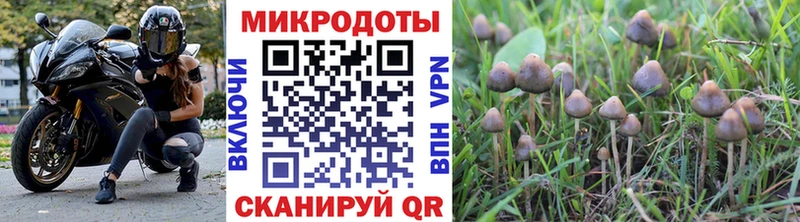 купить  цена  Правдинск  это клад  Псилоцибиновые грибы прущие грибы 